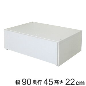 �ǖʎ��[ �t�B�b�g���b�N �����o��1�i ��90cm �i �������� �p�[�c �I�v�V���� ���i DIY ���[ �������[ �������� �����o�� �ςݏd�� �`�F�X�g �N���[�[�b�g �L�����p ��i ���C�h ���o�� �ߗގ�