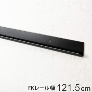 壁面収納 FKレール 幅121.5cm フィットラック ブラック ( 送料無料 幅1215mm 壁面 棚柱 支柱 レール DIY ダボレール 収納 棚受け金具 棚受けレール 黒 棚 可動 支柱レール ラック クローゼット 有