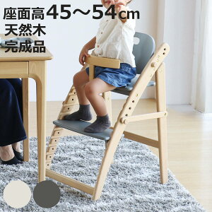 LbY`FA nC^Cv ܂肽  freddy i xr[`FA qǂ֎q qǂ LbY `FA ؐ VR CX ֎q i nC`FA g[t u h~o[ ~