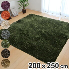 ラグ カーペット シャギー調 3畳 無地 ラルジュ 約200×250cm ホットカーペット 床暖房 対応 （ ラグマット 絨毯 マット長方形 3帖 シャギー リビングマット アクセントラグ 滑り止め 床暖 洗える オールシーズン さらさら ） 【3980円以上送料無料】