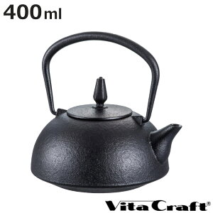 南部鉄 急須 400ml 華 はる ( 鉄瓶 Vita Craft 南部鉄器 日本製 ティーポット ティー用品 お茶用品 茶道具 )【3980円以上送料無料】