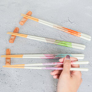  23cm KAKEHASHI NATURA i`X^C H@Ή ׂ~ ؐ VR { i   H@ l aH ͂  ͂  j ~ 킢 jp j y3980~