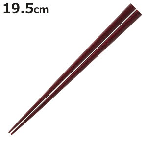  19.5cm REW i  VR ͂  p q qǂ LbY { {[_[ aH Jg[ ͂ nV  Vv  킢 jy3980~ȏ㑗z