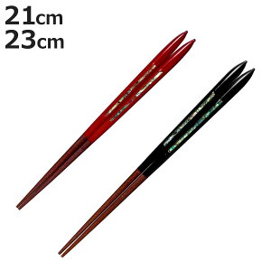  21cm 23cm v~AAC S[WXC L ؐ VR ъL { i  ͂ j  Jg[ aH h ׍H ዷh ͂ nV h蔢 l  a   