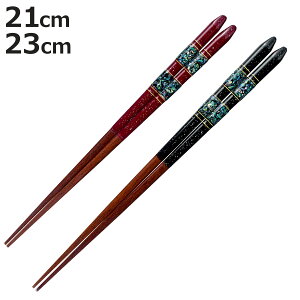  21cm 23cm v~AAC S[WXC v{ ؐ VR ъL { i  ͂  j  Jg[ aH h ׍H ዷh ͂ nV h蔢 p l  