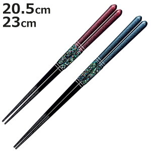  20.5cm 23cm v~AAC S[WXC R ؐ VR ъL { i  ͂  j  Jg[ aH h ׍H ዷh ͂ nV h蔢 ~ l 