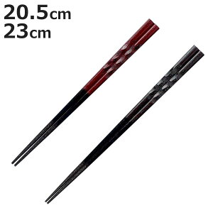  20.5cm 23cm v~AAC VvC ؂  VR ؐ { i  ͂ j  h aH ͂ nV h蔢 h Jg[ jy3980~ȏ㑗z
