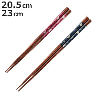  R 20.5cm 23cm i  ͂ ͂ nV Jg[ VR ؖ p ig ₷ jy3980~ȏ㑗z