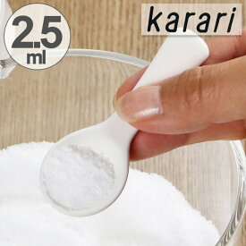 珪藻土スプーン karari カラリ 2.5ml （ 珪藻土 計量スプーン 乾燥剤 調湿剤 スプーン 大さじ 大匙 大さじスプーン 大匙スプーン けいそうど 乾燥材 調湿材 キッチングッズ 便利グッズ ） 【3980円以上送料無料】