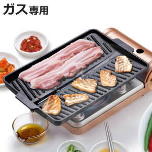 �w���V�[�ē��O���� �p�` �K�X�ΐ�p �R���p�N�g �i ���ΐ�p �O�����p�� �O�����g���C �ē��v���[�g ��� �g�^ �p�^ �����t�� �A���~�� �ӂ��f���H �L�����v BBQ �A�E�g�h�A �L�b�`���p�i 