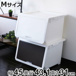 [P[X t^t bL|bh M [{bNX OJ tbv{bNX { i [ t^ t ӂ P[X tbv 30×s43.1×31 45 X^bLO ςݏd m ߗ v