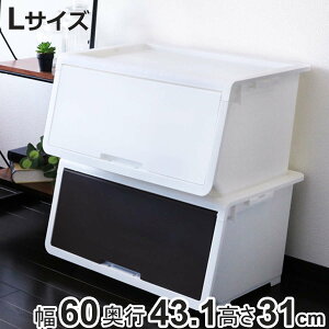 [P[X t^t bL|bh L [{bNX OJ tbv{bNX { i [ t^ t ӂ P[X tbv 60×s43.1×31 60 X^bLO ςݏd m ߗ v