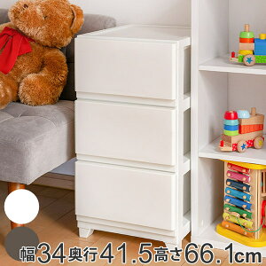 `FXg 34×s41.5×66.1cm 3i i vX`bN X`FXg X ^X o   vX`bN`FXg [P[X ߗގ[ rO [ {  j y3980~