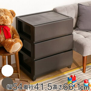 `FXg 54×s41.5×66.1cm 3i Ch i  vX`bN X`FXg X ^X o   vX`bN`FXg [P[X ߗގ[ rO [ { 