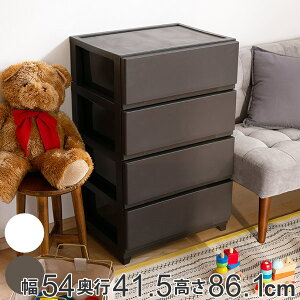 `FXg 54×s41.5×86.1cm 4i Ch i  vX`bN X`FXg X ^X o   vX`bN`FXg [P[X ߗގ[ rO [ { 