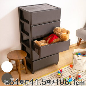 `FXg 54×s41.5×106.1cm 5i Ch i  vX`bN X`FXg X ^X o   vX`bN`FXg [P[X ߗގ[ rO [ { 