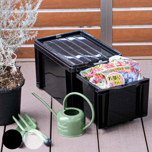 [P[X o bNXgbJ[25 i [ P[X {bNX Rei [{bNX  [ vX`bN d؂t bNt { o ςݏd ߑP[X H