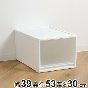 収納ケース ストラ 53-L 幅39×奥行53×高さ30cm クローゼット収納 プラスチック 引き出し 日本製 ( 収納ボックス 収納 ケース ボックス クローゼット 押入れ 衣装ケース プラスチック製 洋服 衣