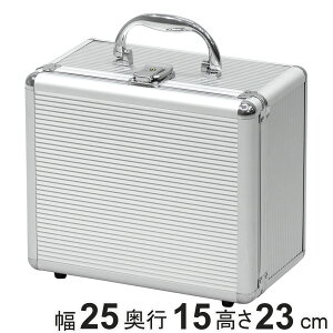 A~P[X [^ AL-A002-F H i {bNX [ A~ [ t y  25×s15×23cm [P[X c[P[X d؂ NbV [ Q[@ H A~{b
