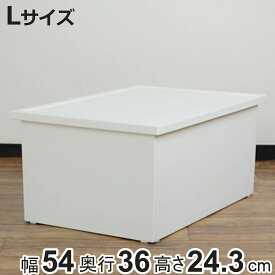 収納ボックス ファボーレヌーヴォ ボックス L 幅54×奥行36×高さ24.3cm （ 収納ケース プラスチック 収納 フタ付き 積み重ね 日本製 衣類 DVD 衣装ケース おもちゃ箱 小物入れ 小物収納 整理整頓 保管 洋服 クローゼット ）【3980円以上送料無料】