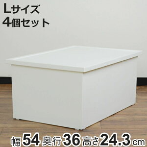 [{bNX t@{[k[H {bNX L 4Zbg 54×s36×24.3cm i [P[X vX`bN [ t^t ςݏd { ߗ DVD ߑP[X ᔠ  [