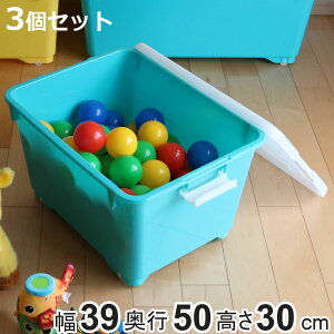 [{bNX ӂt F3Zbg  39×s50×30cm tH[V[rrbh O[ i  [ [P[X ᔠ 3 qǂ [^ ߗ ߑP[X X^bLO 