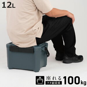 �N�[���[�{�b�N�X 12L COREFLUX ����� �ω׏d100kg �i �ۗ� �N�[���[BOX �ۗ�{�b�N�X �N�[���[�o�b�O �①�{�b�N�X 12���b�g�� �N�[���[ �{�b�N�X BOX �L�����v �A�E�g�h�A �n���h�� ������t�� �j