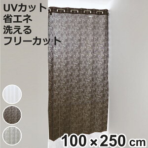 AR[fBIJ[e AxXN t[Jbg 100×250cm UVJbg i Ԏd؂ J[e i 􂦂 1 EHbVu AR[fBI Jbgł ȈՃhA O΍ ԕ jy3