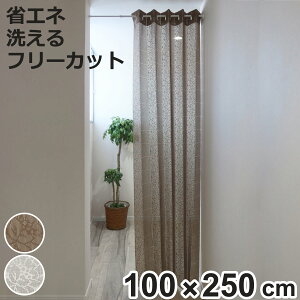 AR[fBIJ[e ԕ t[Jbg 100×250cm i Ԏd؂ J[e i 􂦂 1 EHbVu AR[fBI Jbgł ȈՃhA t[ jy3980~ȏ㑗z