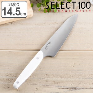  nn 145mm ZNg100 Lb`iCt ~fBA i  O   \ 14.5 cm lH嗝 nh H@Ή OiCt ƒp Lb`c[ iC