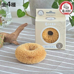 Lb`^V T̎qq 킵 TCU zCgp[   i ^V q T̎q^V  ܂Ȕ RQƂ VRf { tCp   H