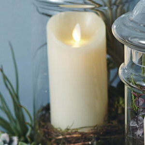 Lh a7.8×22.6cm ~is[ LED i  ledLhCg ԐڏƖ LhCg CeACg 炬 A  bNX dr S  rO 