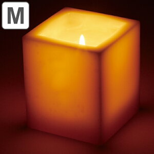 Lh M 6.7cm×7.8cm L[uLh 25 i E\N 낤 CeA G  Ȃ 2w  EFfBO Cxg  u I[ig [\N lp` j