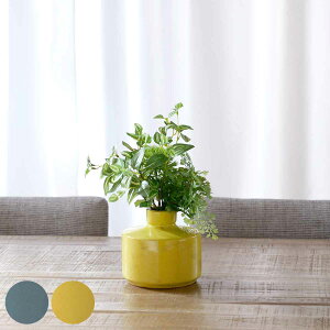 ԕr Z~bNx[X a13×12.5cm i t[x[X Ԃт Ԋ ֑} x[X Z~bN  ~`  ԓ  ԑ ؉ hCt[ O[  CeA 