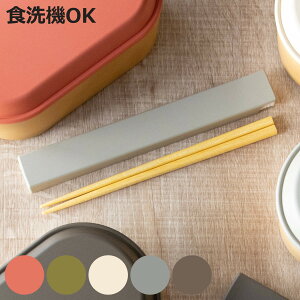 Zbg earth color R۔ i  H@Ή  Zbg R 18cm l VR XCh { H@OK Jg[ ٓp H gїp ͂ ؐ VRؐ RۉH jy398