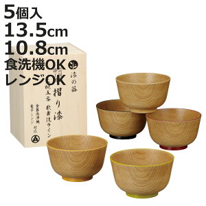 汁椀 大椀 漆の器摺り漆 歌舞伎ライン 5個入 ( 漆 電子レンジ対応 食洗機対応 BPAフリー お椀 椀 丼物 どんぶり 丼 丼ぶり おしゃれ シンプル プラスチック 味噌汁碗 味噌汁 スープ 軽い 割れ