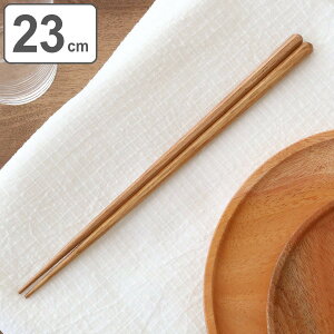  23cm l I VR i  ͂ ؐ l jp ؐH ͂ p`  j   Vv j y3980~ȏ㑗z