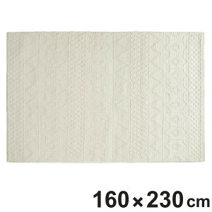 O LO D W[S ZIGO 160×230cm zbgJ[ybgΉ i O}bg J[ybg O~ イ ` }bg gΉ g g[ ANZgO nhCh 􉽊w L