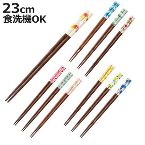  AfAg i  AfAg VR H@Ή { ׂ~߉H ͂ ͂ nV  킢 23cm ዷh H v[g 蕨 Y jy3980~ȏ㑗