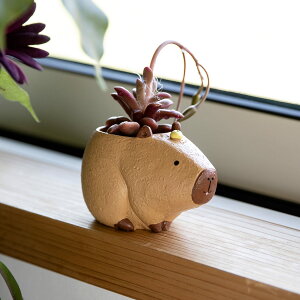 v^[ bV[Y Jso i Aؔ vg|bg Ap|bg ~j|bg |bg  b 1 ~j  X^h u A  ϗtA A T{e | A 