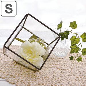 eE XNGA S KX fBXvCP[X i KXe ͔| | fBXvC u^ UCNKX ϗtA  GA[vc A  P[W ꕨ STCY j y3980