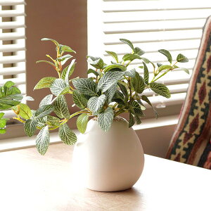 人工観葉植物 フィットニア 18cm フェイクグリーン 造花 光触媒 ( ミニ 卓上 人工植物 フェイク アートグリーン 触媒加工 抗菌 消臭 緑 グリーン 癒し リラックス 植木 樹木 人工 枯れない 水
