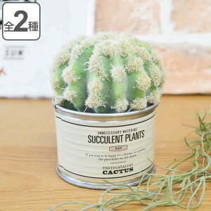 tFCNO[ TINTLg G} i ~j   L ϗtA tFCN  A T{e CeAO[ lHϗtA  rO R j y3980~ȏ㑗