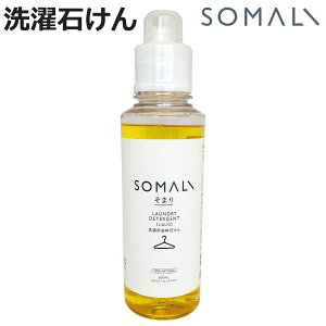 ܂ SOMALI  pt̐΂ 600ml i p pi  ΂ Ό VR t̂ Y ߗޗp I[KjbN { R GR AIC t̐ VR q