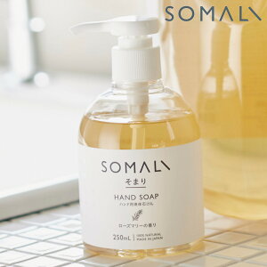 ܂ SOMALI nh\[v t̐΂ 250ml i nhpt̐΂   ΂ Ό Y { nhEHbV [Y}[̍ u₩  q h VR