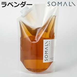 ܂ SOMALI {fB\[v l֗p x_[ 1L i {fB[pt̐΂ lւ  x_[̍ Y { {fB[Vv[ lߑւ 1000ml Ԃ q A 