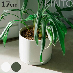 KINTO Lg[ vg|bg 170×160mm i  Aؔ v^[ t[|bg 17cm  킢 Vv ϗtA O[|bg CeA G jy3980~ȏ㑗z