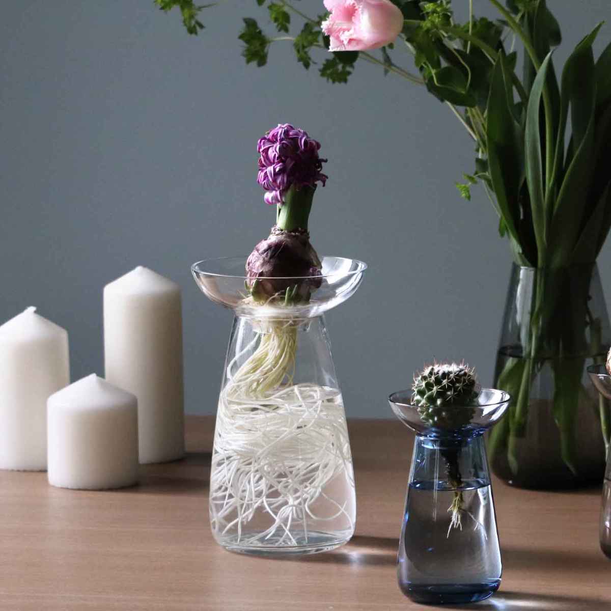 楽天市場】キントー 花器 AQUA CULTURE VASE Sサイズ ガラス 花瓶 