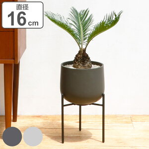 KINTO Lg[ vg|bg 211_ 160mm i v^[ a16cm Aؔ vg|bg Ap|bg X^h Ԋ Jo[ |bg r   AؔJo[ A  ϗtA | A X