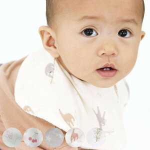 X^C Lien de famille Pi ̎q 360 oYj i 悾ꂩ xr[X^C O| Gv 360x Rbg 100 { j̎q Ԃ xr[ H Gv xr[ ۃ^Cv v[g